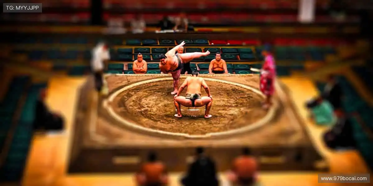 📺 实时解说，带你沉浸式感受赛场心跳！